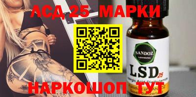гидра Будённовск