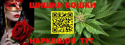 гидра Будённовск