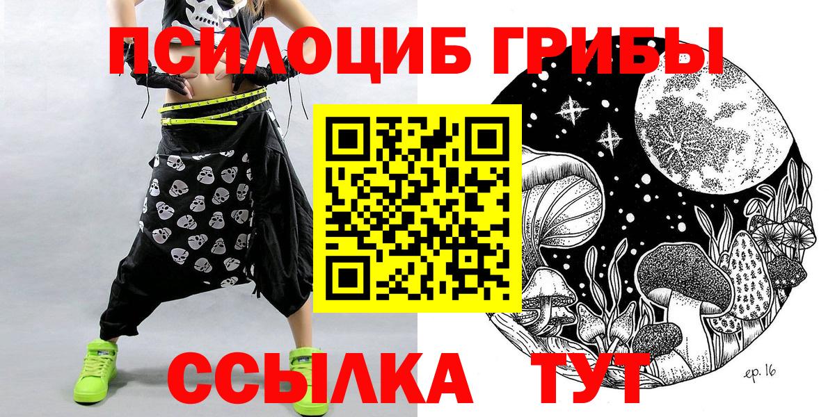 как найти закладки  Псилоцибиновые грибы мухоморы  Вход с VPN  Новомосковск  Галлюциногенные грибы мухоморы 